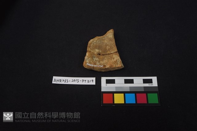 陶片藏品圖，第2張