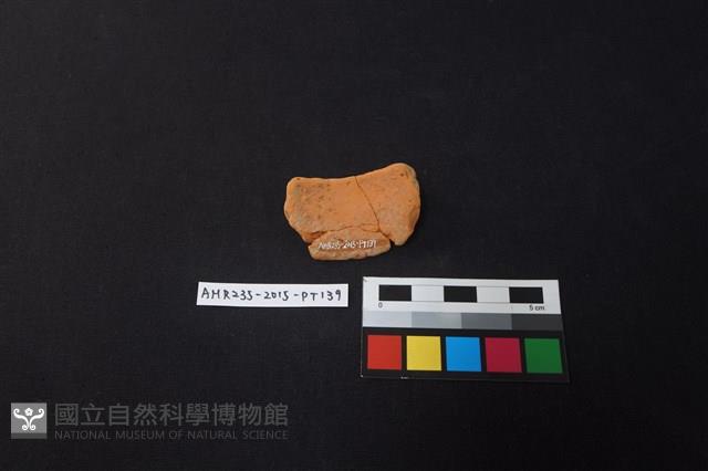 陶片藏品圖，第2張