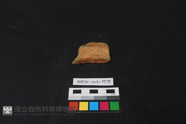 陶片藏品圖，第2張