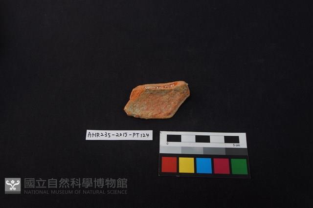 陶片藏品圖，第2張