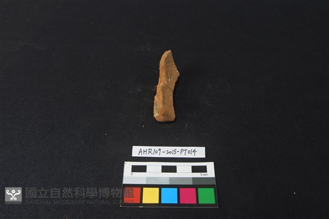陶片藏品圖，第2張