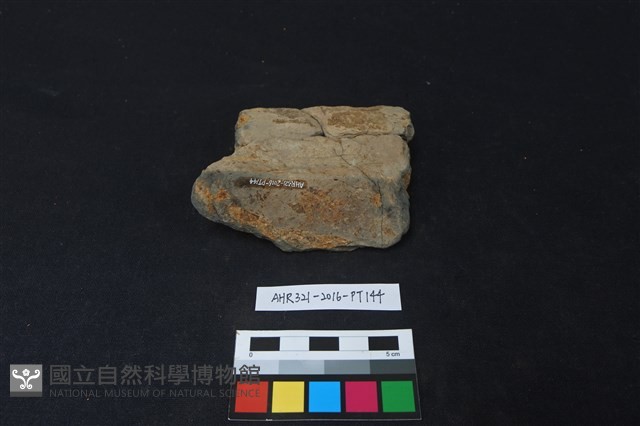 陶片藏品圖，第2張