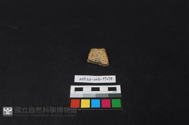 陶片藏品圖，第2張