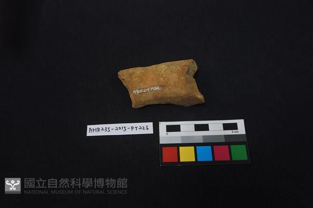 陶片藏品圖，第2張