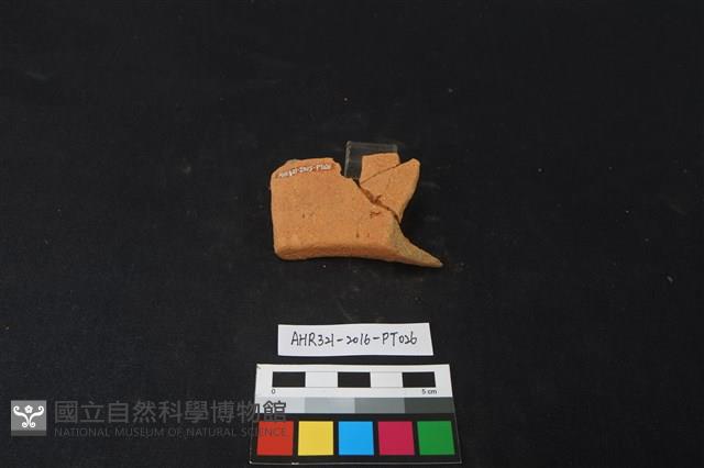 陶片藏品圖，第2張