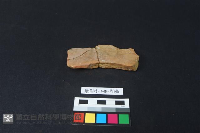 陶片藏品圖，第2張