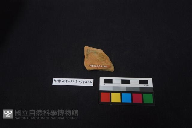 陶片藏品圖，第2張