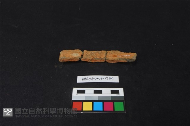 陶片藏品圖，第2張