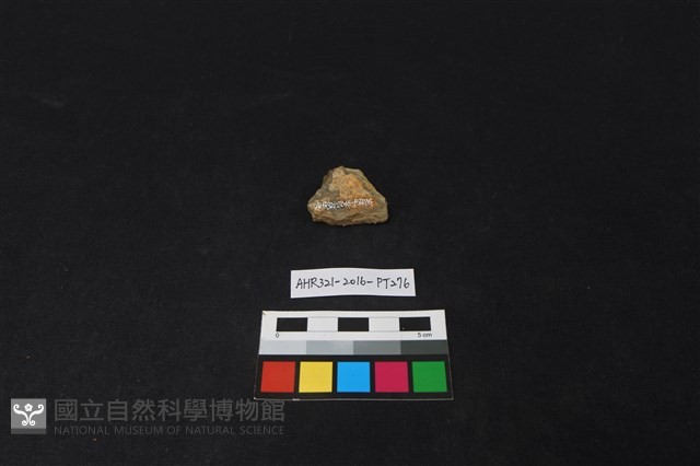 陶片藏品圖，第2張