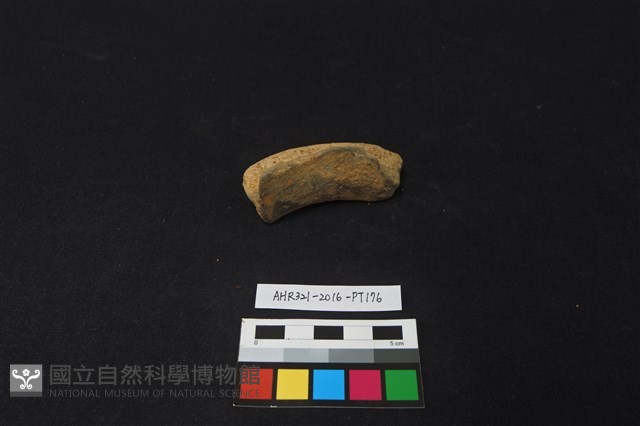 陶片藏品圖，第2張