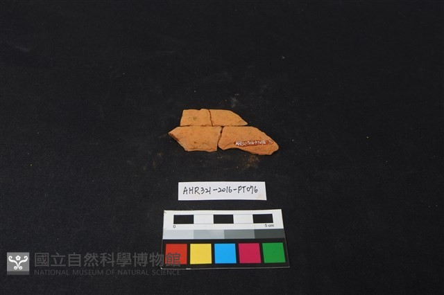 陶片藏品圖，第2張