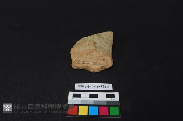 陶片藏品圖，第2張