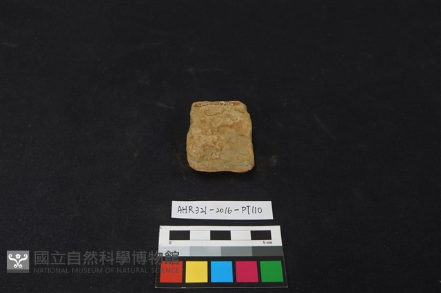 陶片藏品圖，第2張