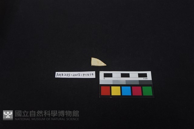 瓷片藏品圖，第2張