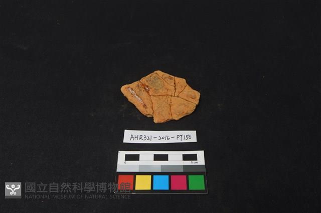 陶片藏品圖，第2張