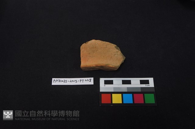 陶片藏品圖，第2張