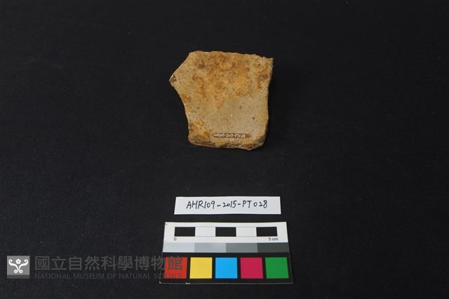 陶片藏品圖，第2張