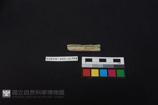 瓷片藏品圖，第2張