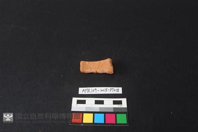 陶片藏品圖，第2張