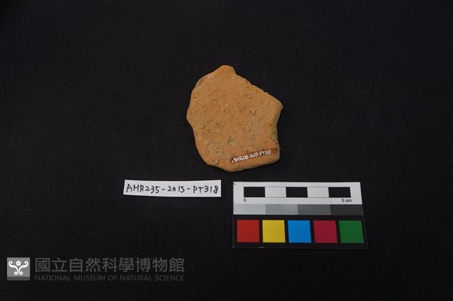 陶片藏品圖，第2張