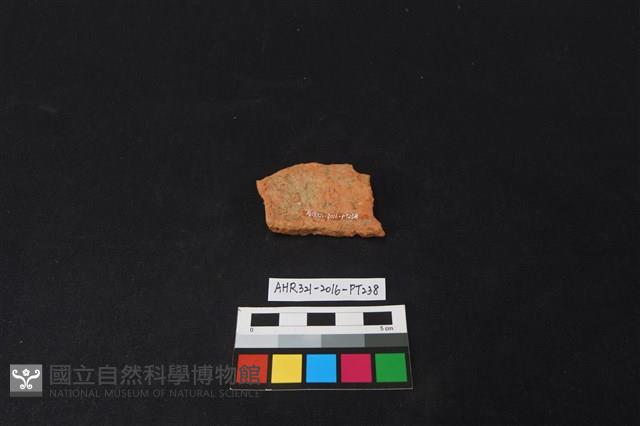 陶片藏品圖，第2張