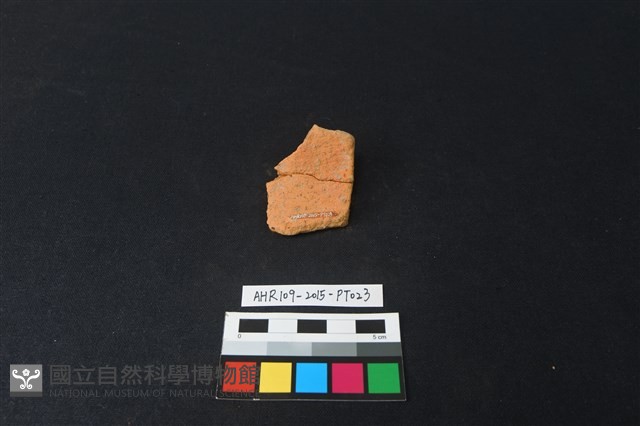 陶片藏品圖，第1張