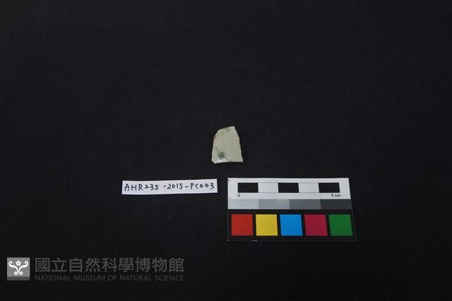 瓷片藏品圖，第1張