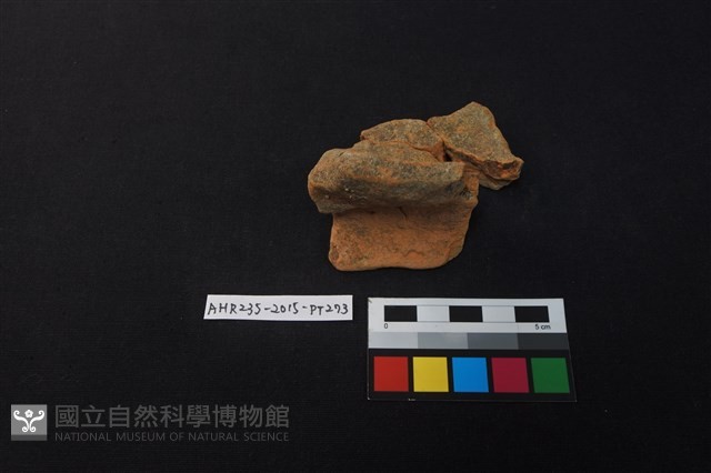 陶片藏品圖，第1張