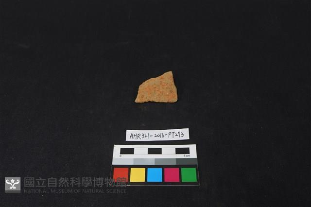 陶片藏品圖，第1張