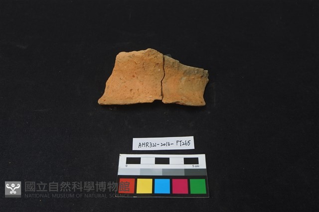 陶片藏品圖，第1張