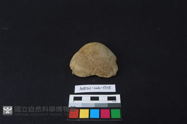 石片器藏品圖，第1張