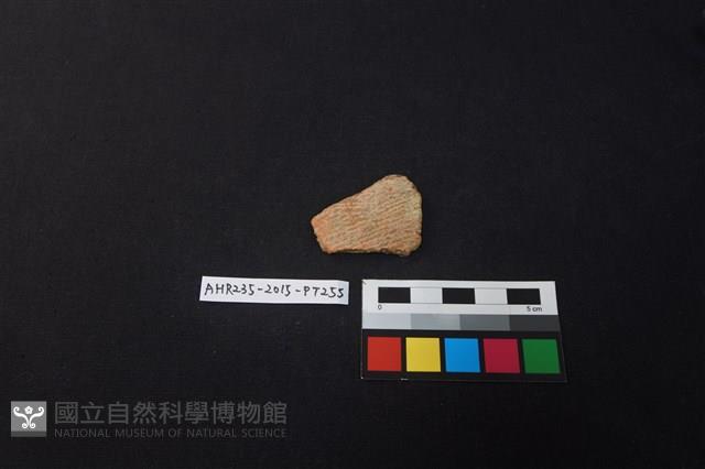 陶片藏品圖，第1張