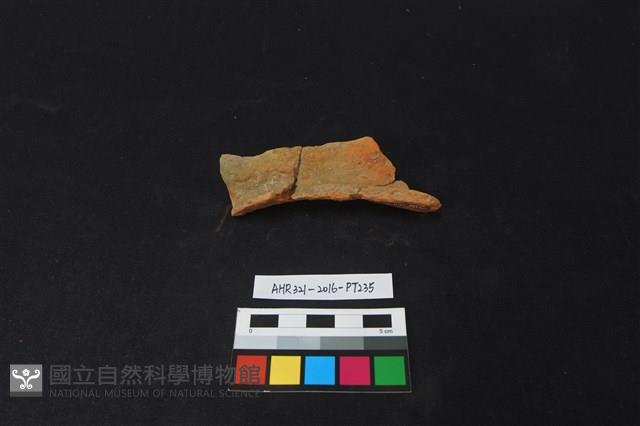 陶片藏品圖，第1張