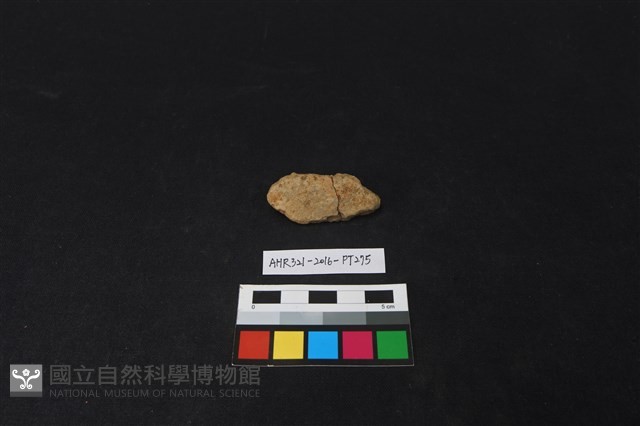 陶片藏品圖，第1張