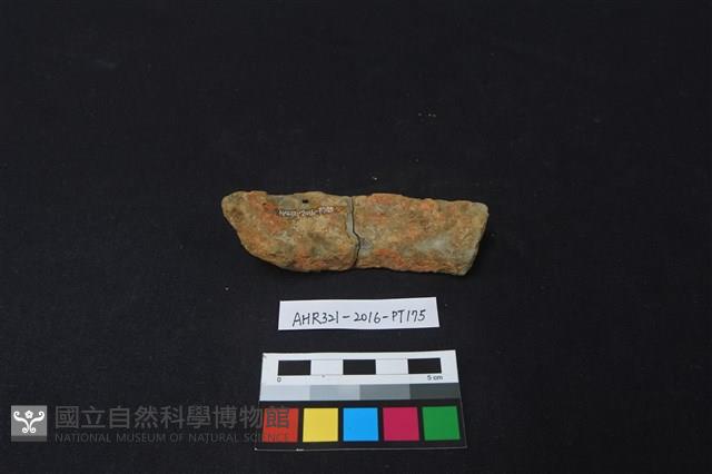 陶片藏品圖，第1張