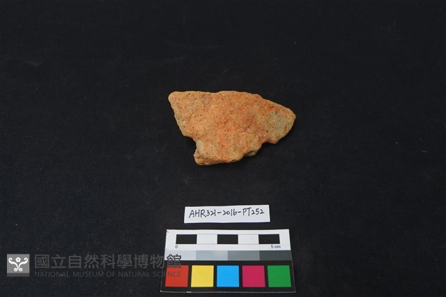 陶片藏品圖，第1張
