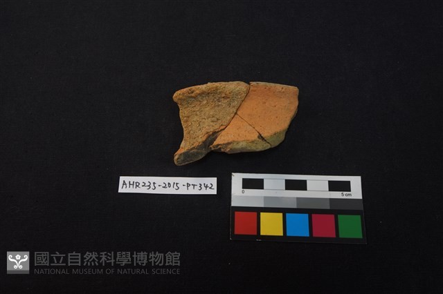 陶片藏品圖，第1張
