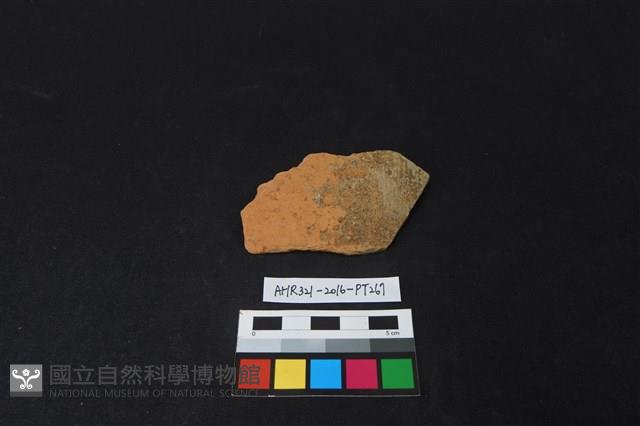 陶片藏品圖，第1張