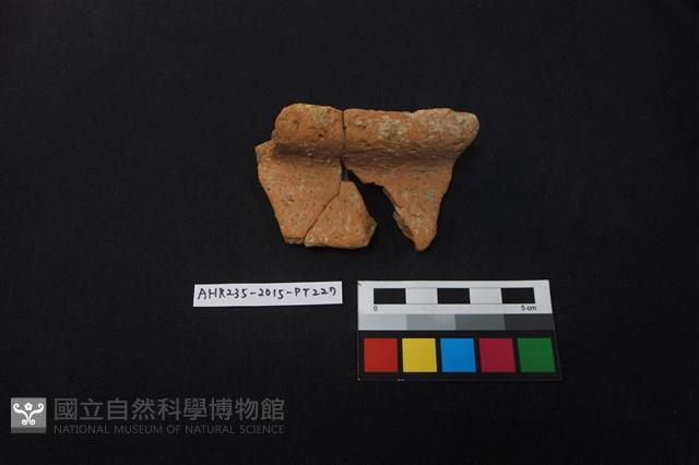 陶片藏品圖，第1張