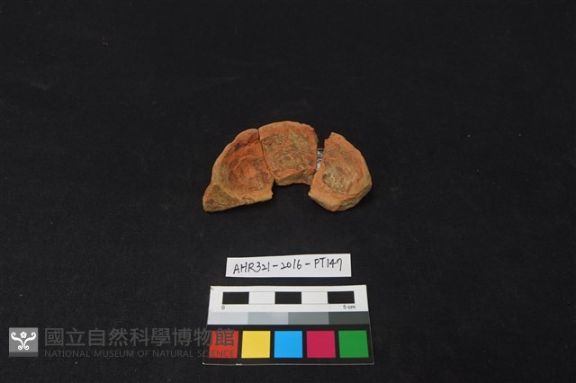 陶片藏品圖，第1張