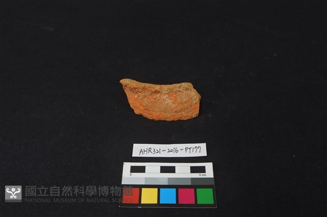 陶片藏品圖，第1張