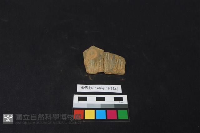 陶片藏品圖，第1張