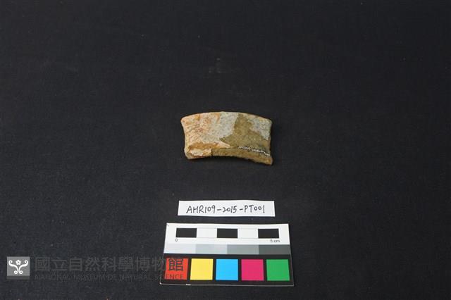 陶片藏品圖，第1張