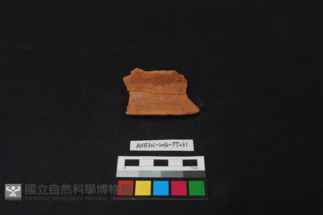 陶片藏品圖，第1張
