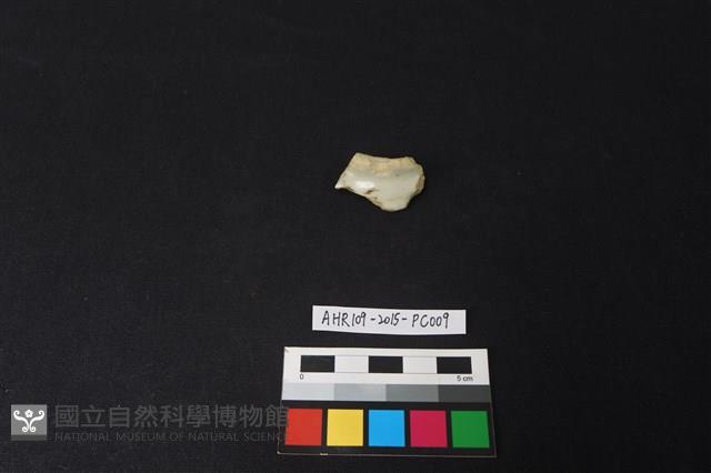 瓷片藏品圖，第1張