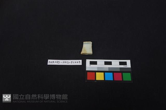 瓷片藏品圖，第1張