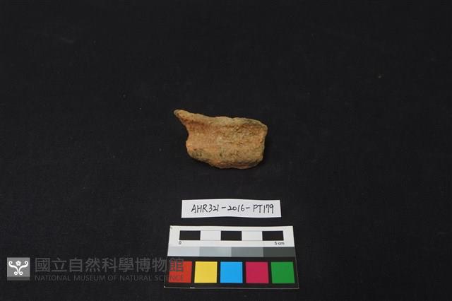 陶片藏品圖，第1張