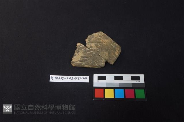 陶片藏品圖，第1張