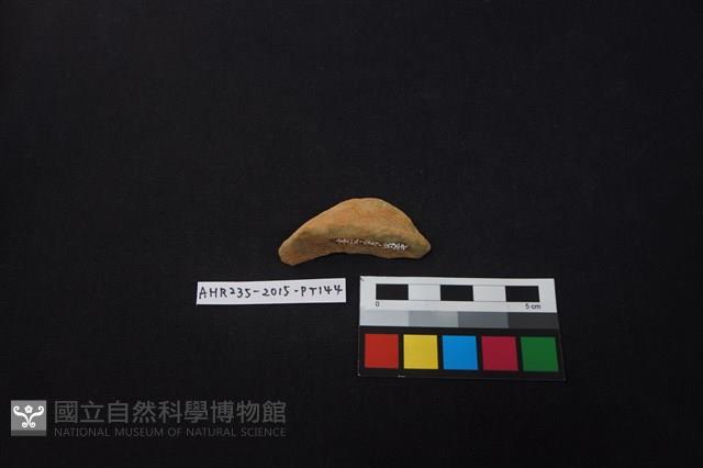 陶片藏品圖，第1張