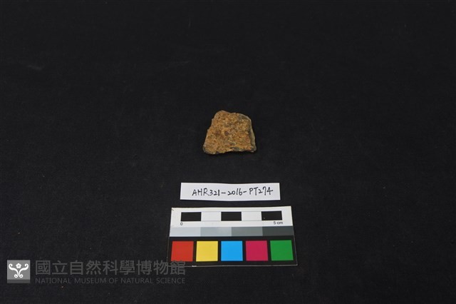 陶片藏品圖，第1張